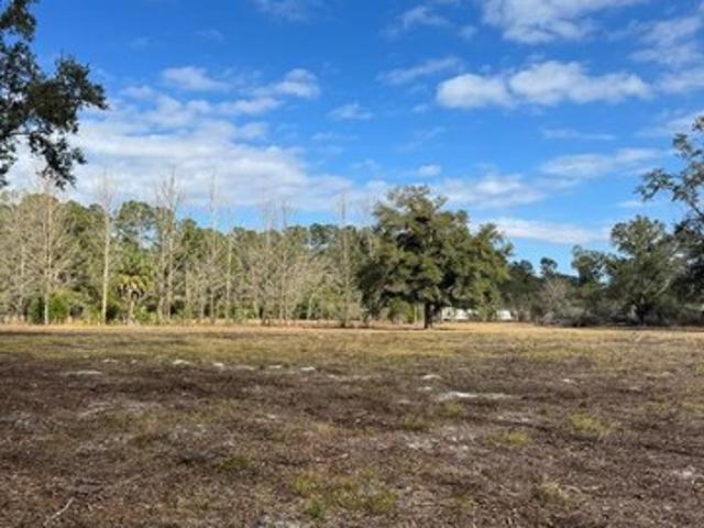 Land for sale in Dixie, Florida