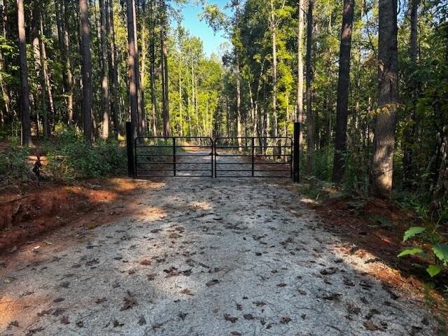 Land for sale in Chappells, South Carolina