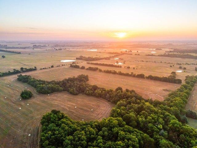 Land for sale in Fannin, Texas