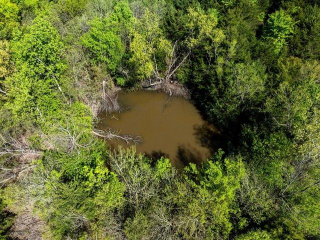 Land for sale in Hunt, Texas