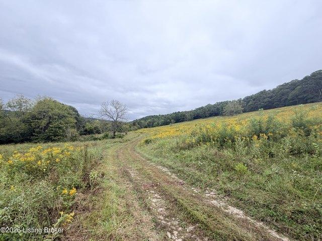 Land for sale in Worthville, Kentucky