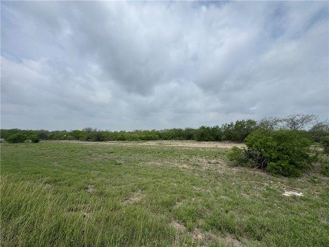 Land for sale in Alice, Texas