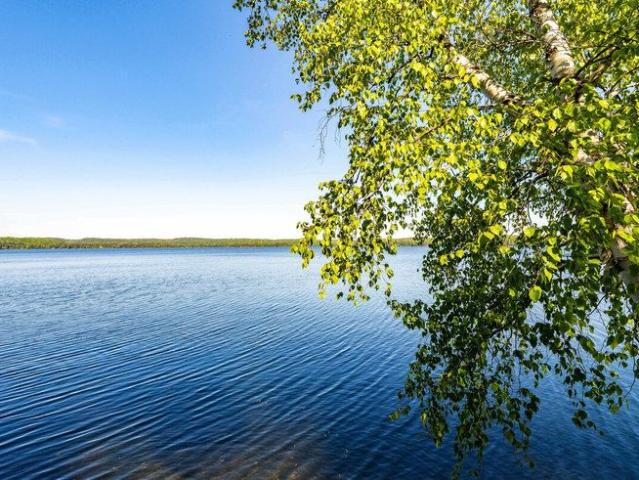 House for rent in Algonquin Highlands, Ontario