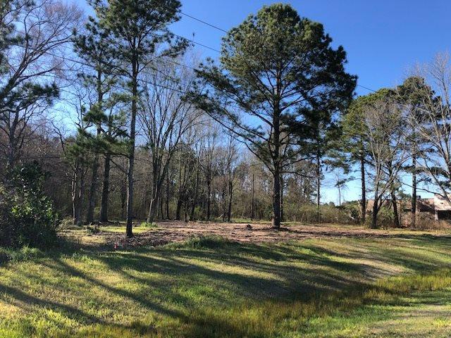Land for sale in Forest, Scott County