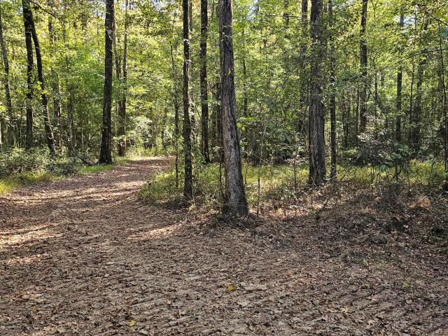 Land for sale in Vaiden, Mississippi
