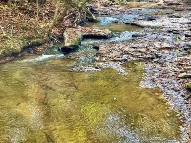Land for sale in Jackson, Georgia