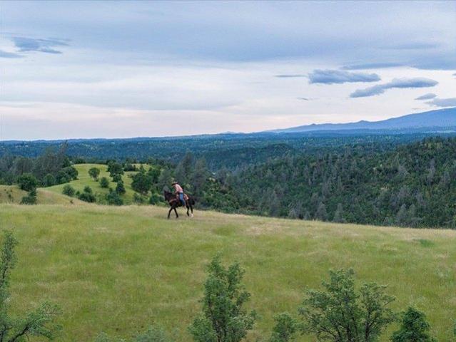 Land for sale in Red Bluff, California