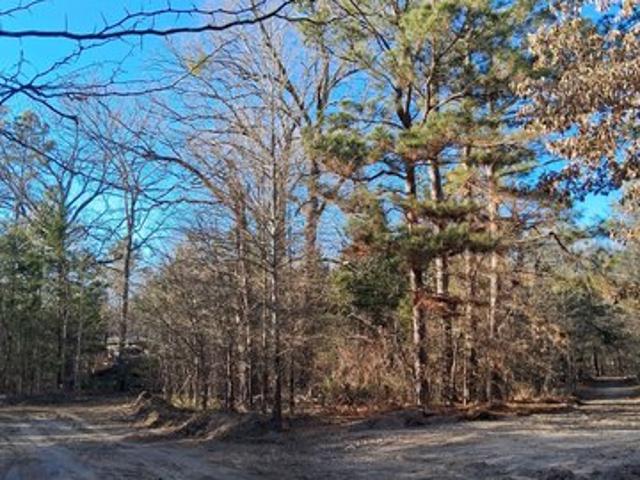 Land for sale in Clarksville, Texas