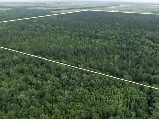 Land for sale in Iowa, Louisiana
