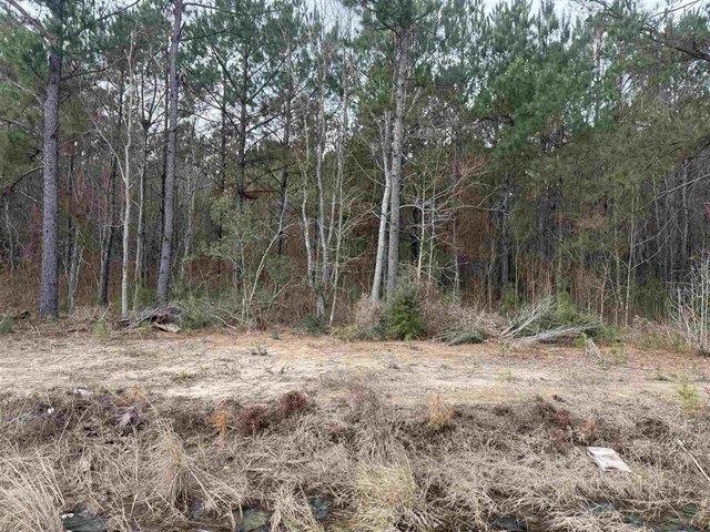 Land for sale in Iowa, Louisiana