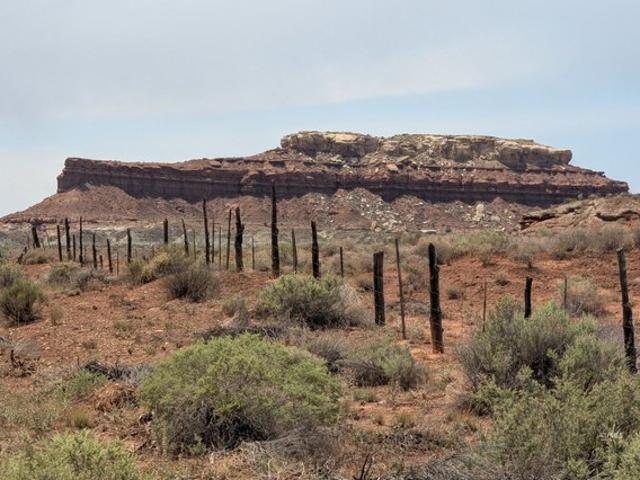Land for sale in Fredonia, Arizona