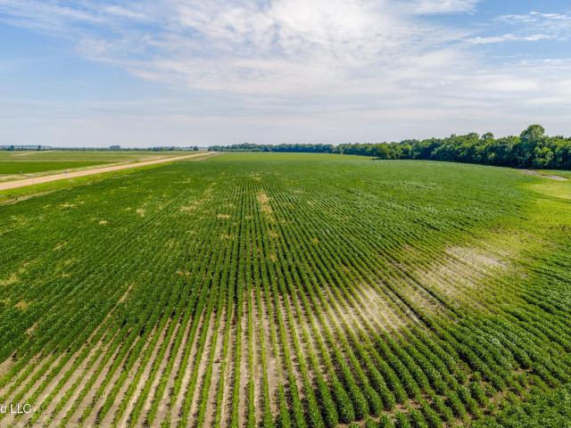 Land for sale in Tunica, Mississippi