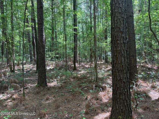 Land for sale in Kilmichael, Mississippi