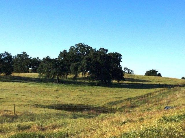 Land for sale in Madera, California