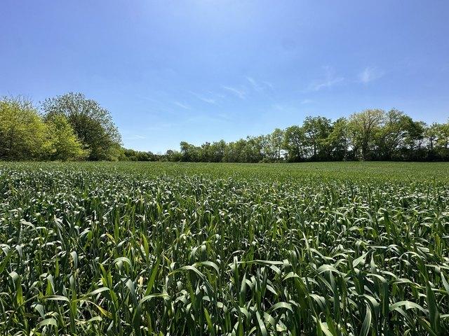 Farm for sale in Tennessee