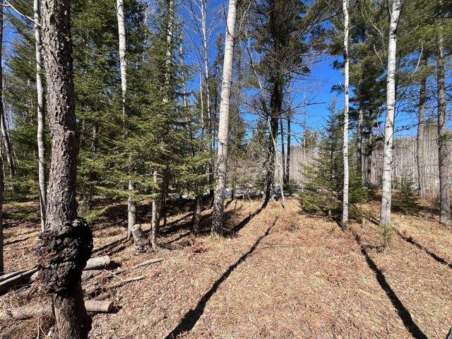 Land for sale in Crystal Falls, Michigan