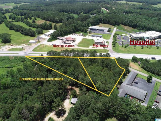 Land for sale in Wedowee, Alabama