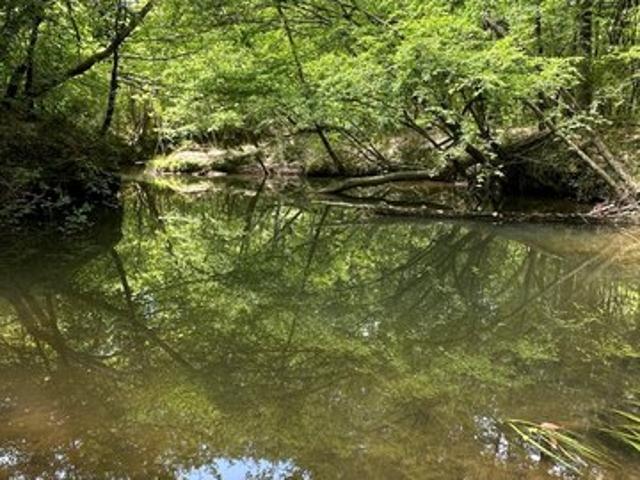 Land for sale in Louisiana