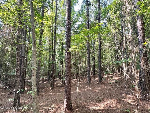 Land for sale in Kosciusko, Mississippi