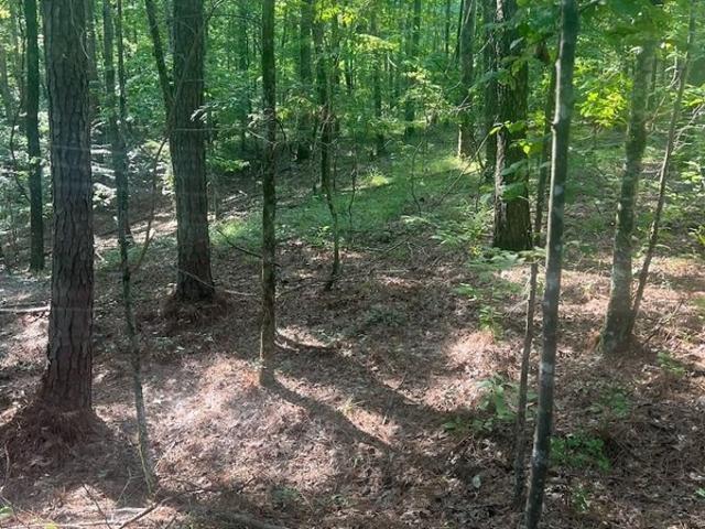 Land for sale in Ethel, Mississippi