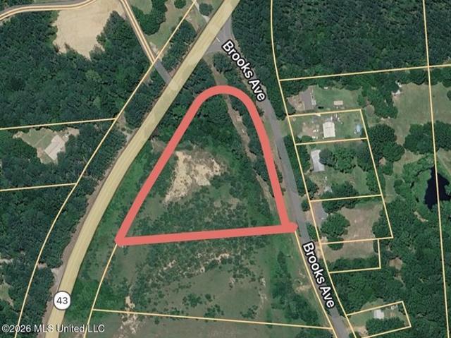 Land for sale in Pelahatchie, Mississippi