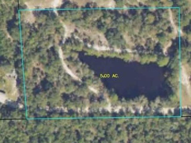 Land for sale in Pearson, Georgia