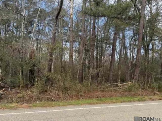 Land for sale in Saint Helena, Louisiana