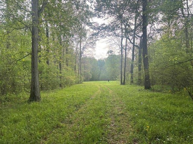 Land for sale in West Point, Mississippi