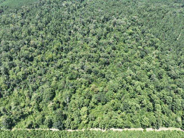 Land for sale in Hineston, Louisiana