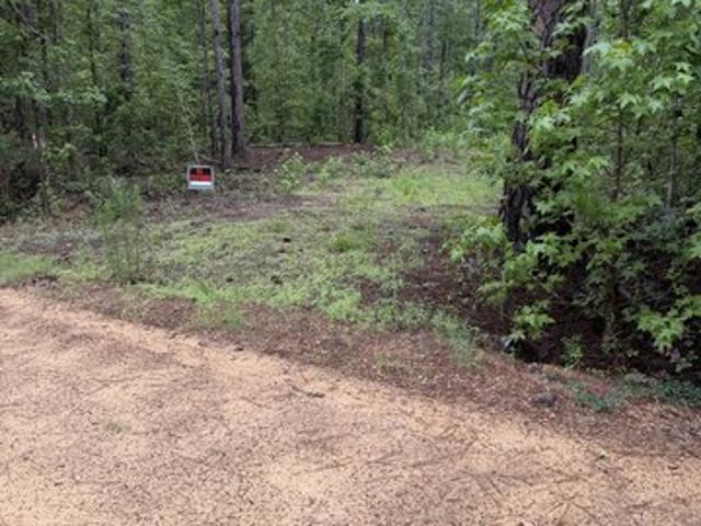 Land for sale in Cadwell, Georgia