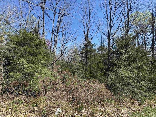 Land for sale in Spencer, Indiana