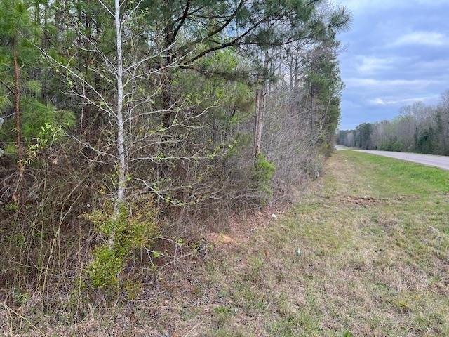 Land for sale in Beatrice, Alabama