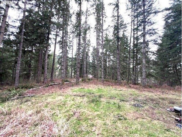 Land for sale in Vernonia, Columbia County