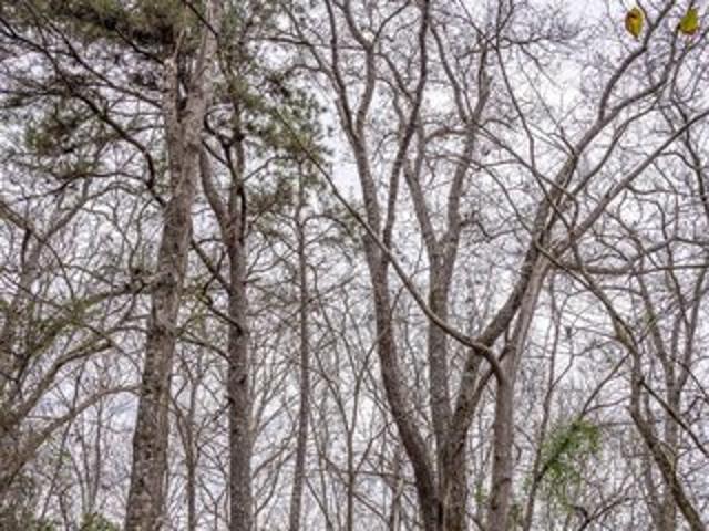 Land for sale in Carthage, Mississippi