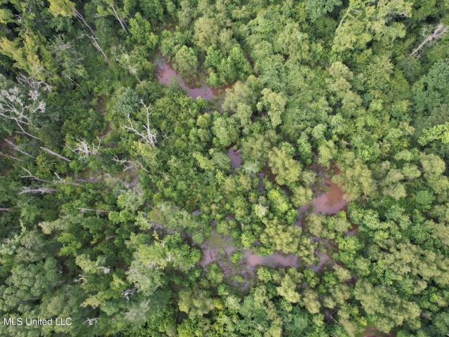 Land for sale in Crosby, Mississippi