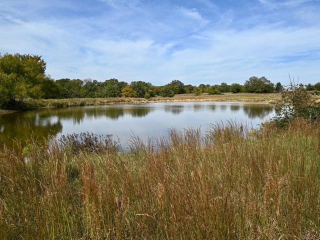 Land for sale in Coleman, Johnston County
