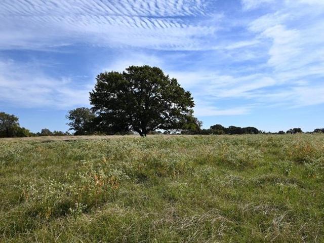 Land for sale in Coleman, Johnston County
