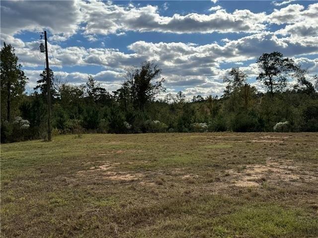Land for sale in Forest Hill, Louisiana