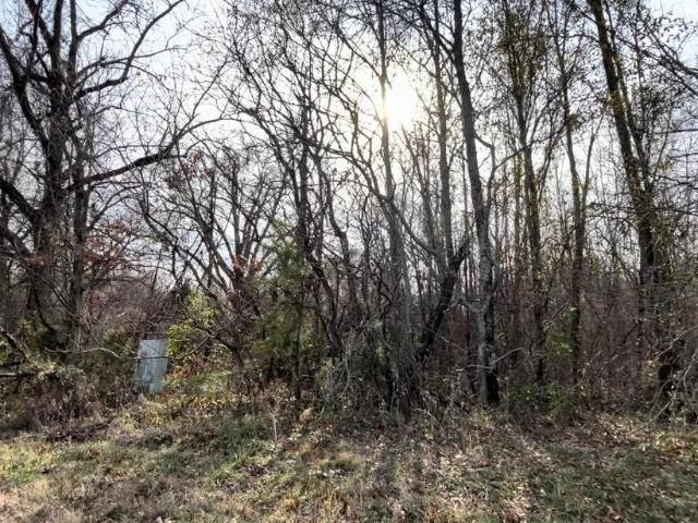 Land for sale in Ark