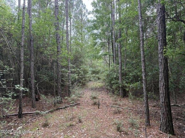 Land for sale in Saucier, Mississippi