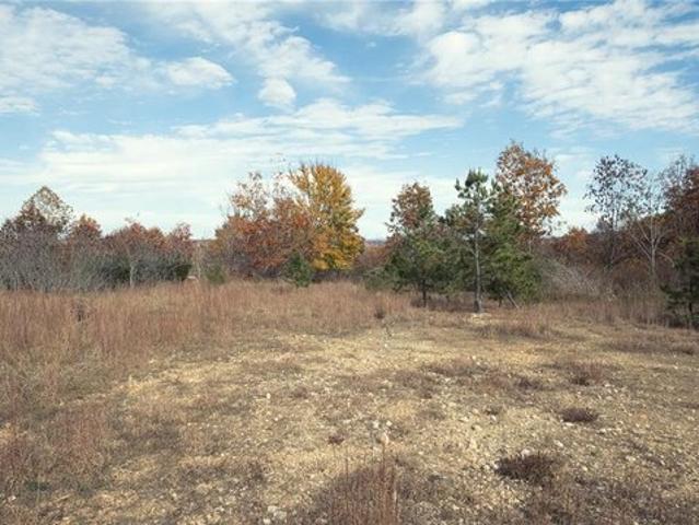 Farm for sale in Piedmont, Missouri