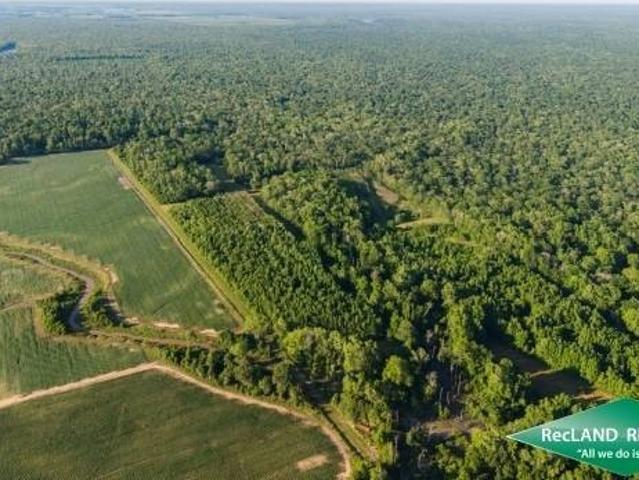 Land for sale in Winnsboro, Louisiana