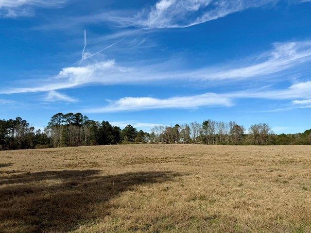 Land for sale in Coushatta, Louisiana