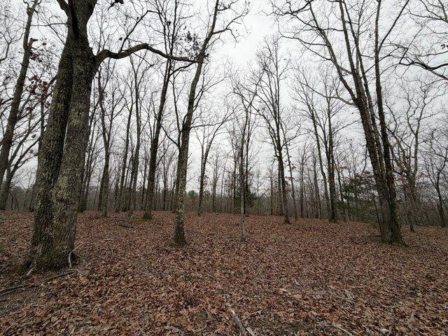 Land for sale in Tennessee