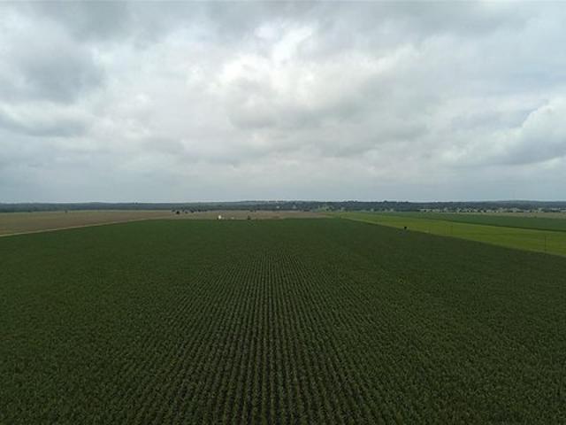 Land for sale in Snook, Texas