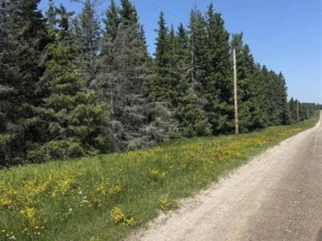 Land for sale in Cook, Minnesota