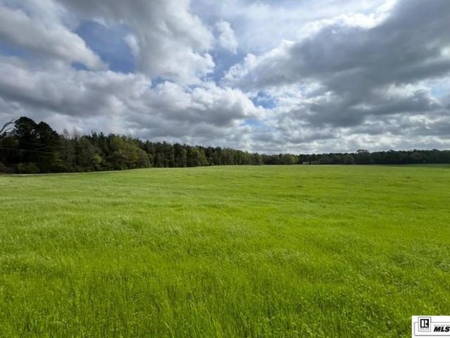 Farm for sale in Marion, Louisiana
