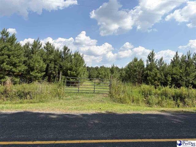 Land for sale in Scranton, South Carolina