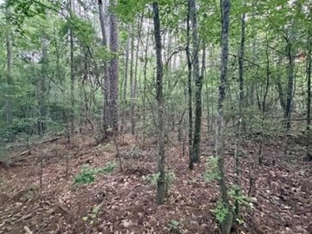 Land for sale in Sterrett, Alabama