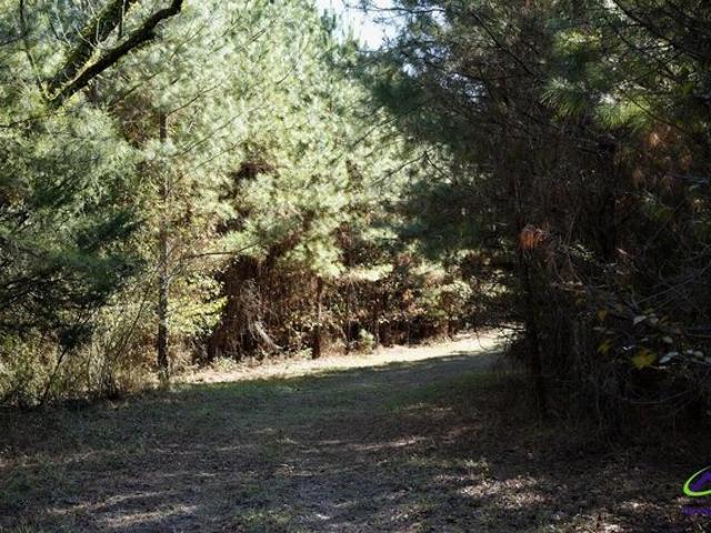 Land for sale in Wilkinson, Georgia